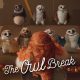 The Owl Break | MUSE Creative Awards | muse.world