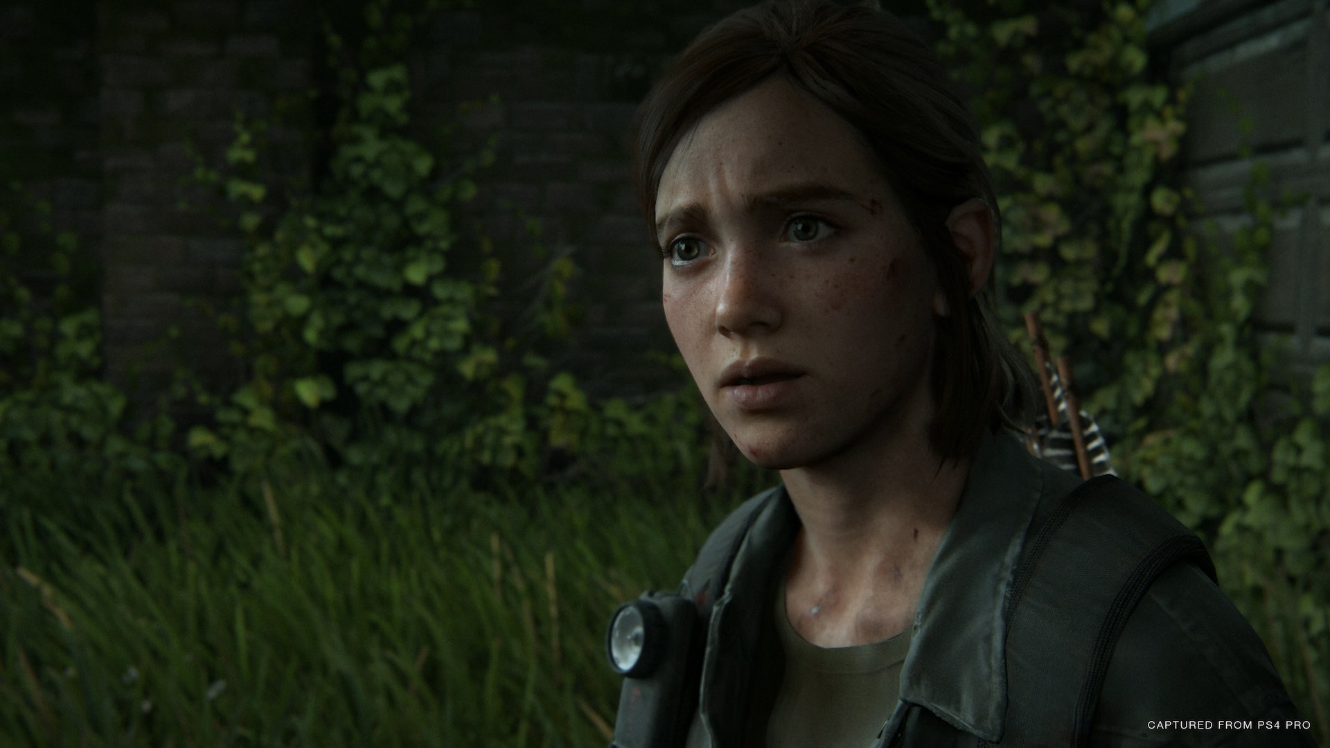 HD wallpaper: Ellie, PlayStation 4, The Last of Us 2, the last of us part II