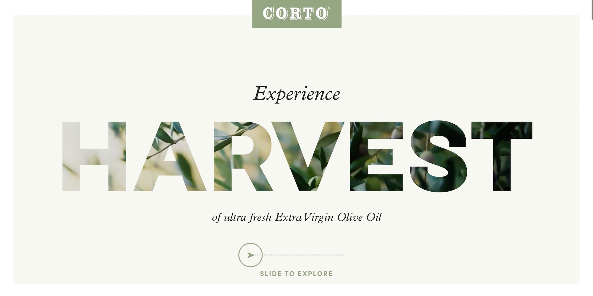 Harvest New Ideas & Creative Concepts with Corto Olive’s Award-Winning Website