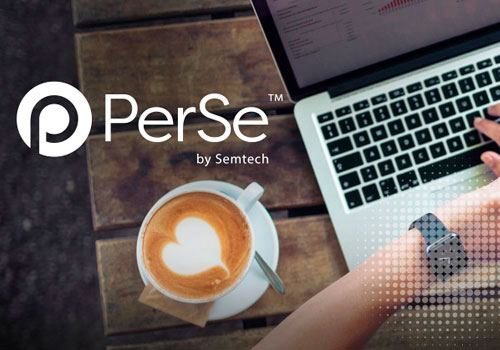 PerSe–Technology-Solution-Portfolio-Naming