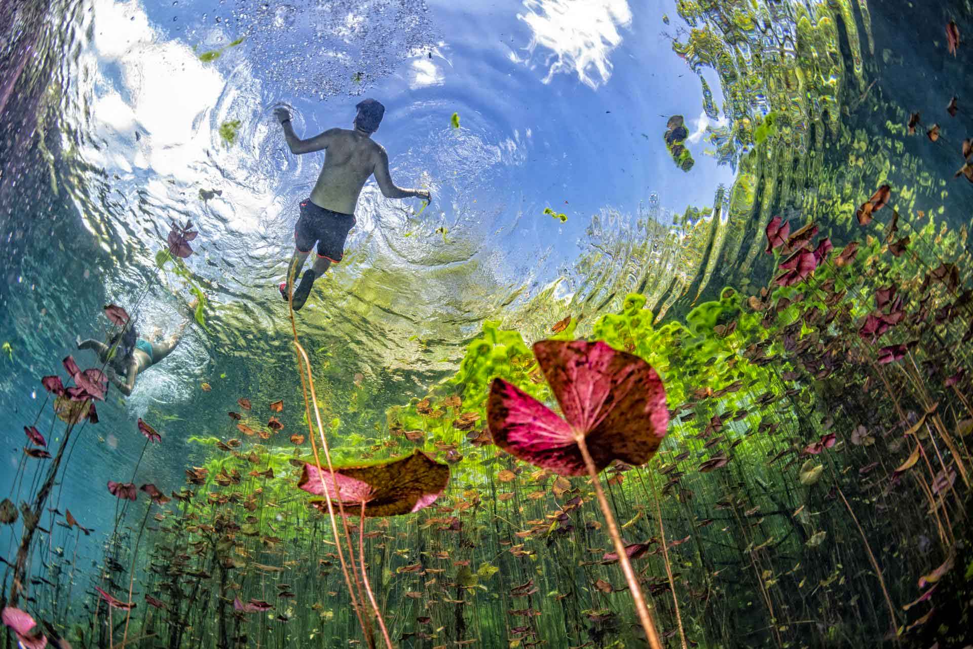 Swimming-in-the-sky