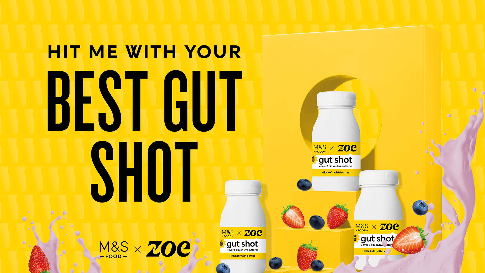 Leading the way to gut health with a bold brand identity