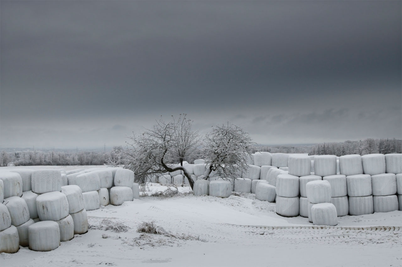 Winterizing Hay Bales